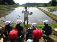 田植え２